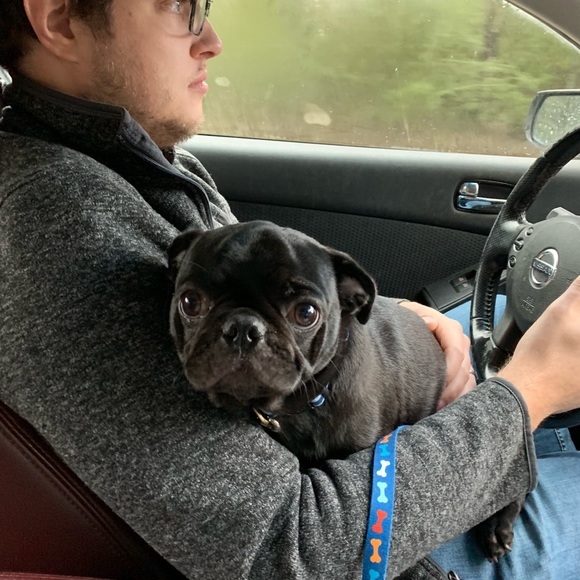 ⭐️⭐️CHECK OUT 💥⚡️✨💫 - Picture 7 of 8